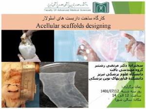 کارگاه ساخت داربست های آسلولار